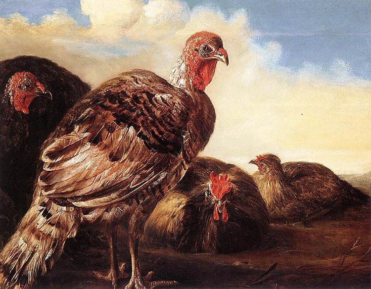 CUYP, Aelbert Domestic Fowl